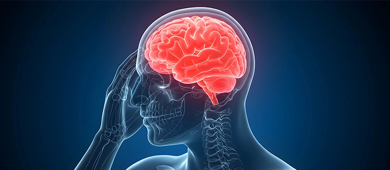 Teratoma: Causes, Symptoms, Types, Diagnosis & Best Treatment Options