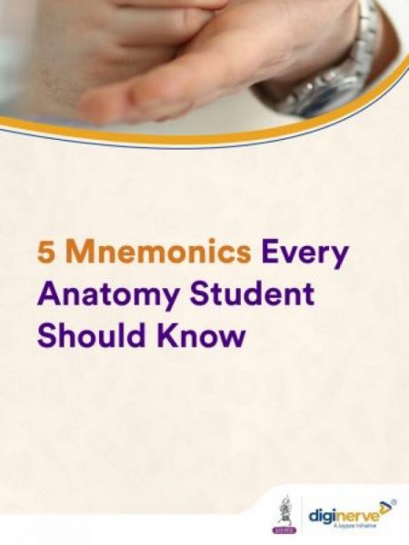 5 Mnemonics Every Anatomy Student Should Know
