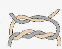 Surgeon's knot