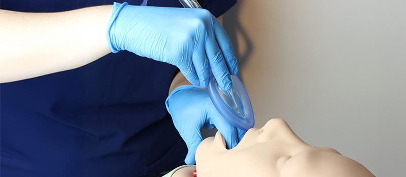 lma airway management