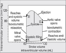 Isovolumetric contraction 