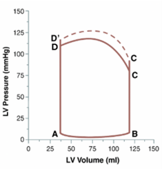 ventricular pressure-volume