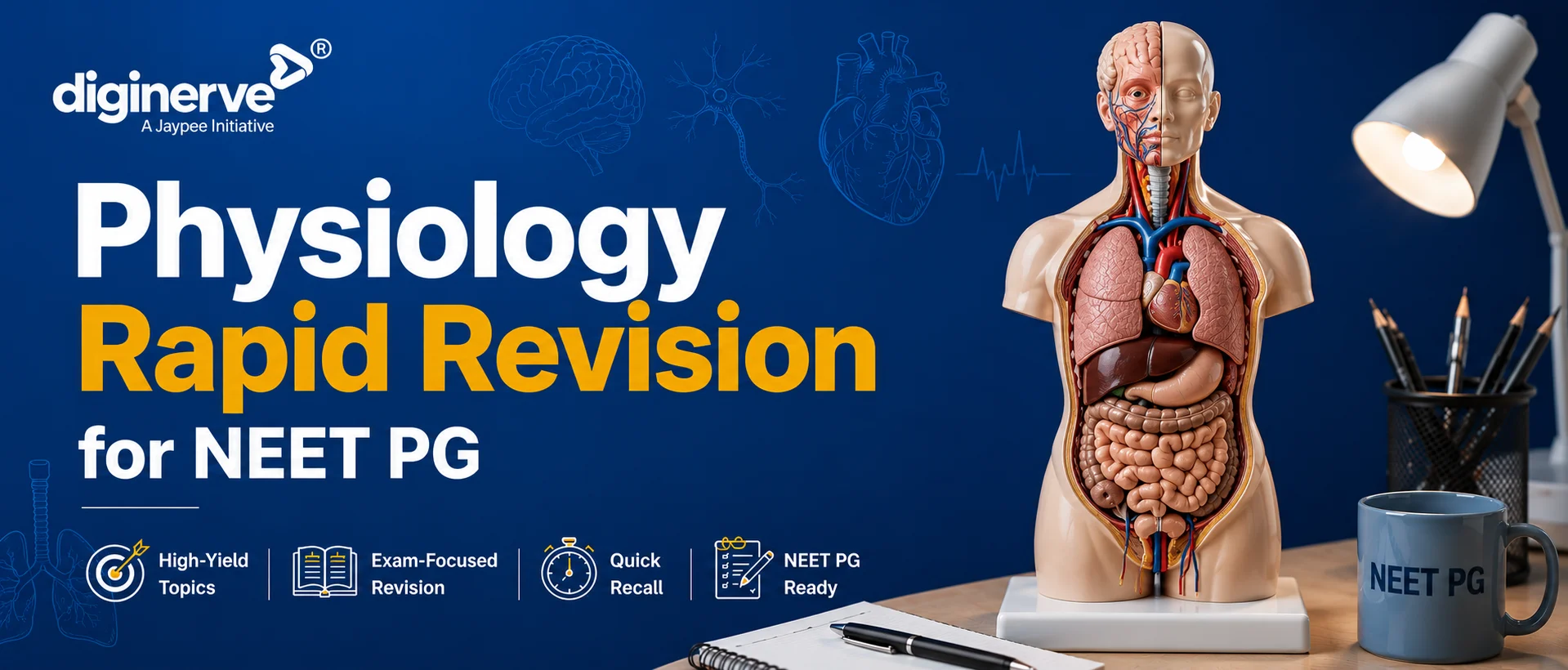 Physiology Rapid Revision for NEET PG 2026 with high-yield notes, ECG graphs, PYQs, MCQs, and important physiology topics