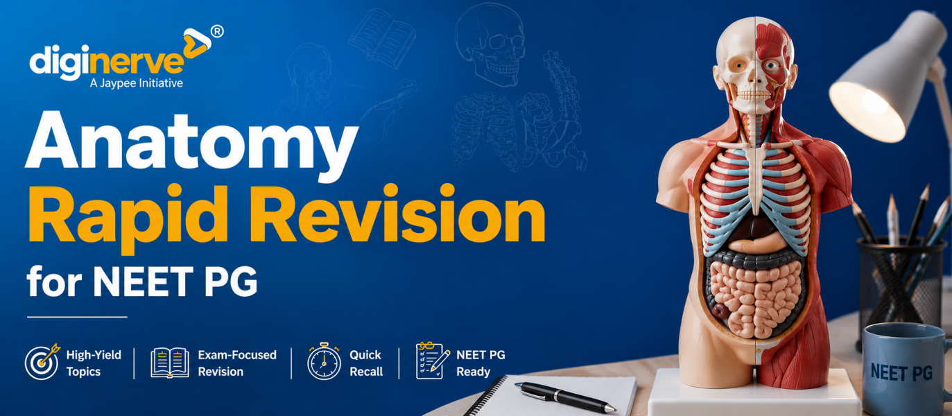 anatomy rapid revision for neet pg