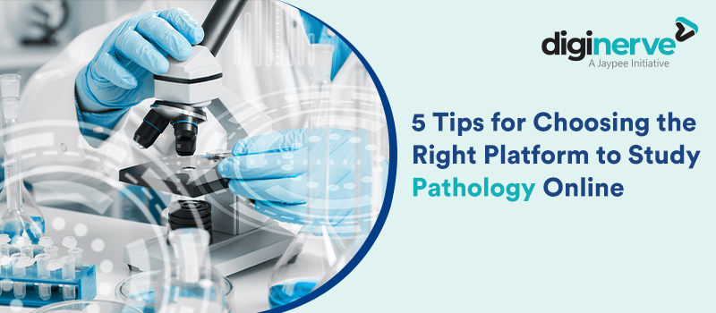 5 Tips for Choosing the Right Platform to Study Pathology Online