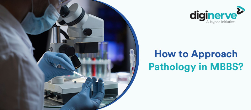 How to Approach Pathology in MBBS?