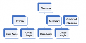 Basic Toolkit for Glaucoma 