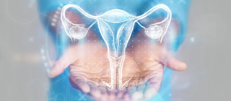 Everything You Need to Know About Advance Course in Infertility and Ultrasound